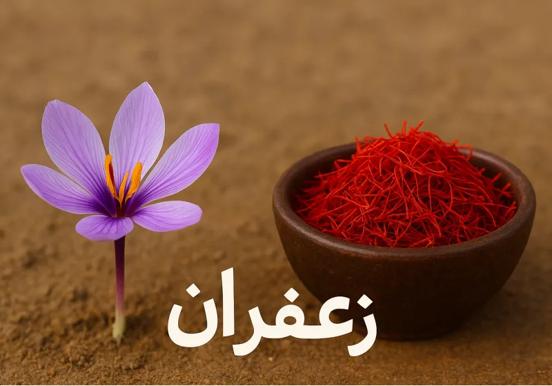 کاربرد زعفران در آشپزی ایرانی | راز طعم و رنگ طلایی غذاها
